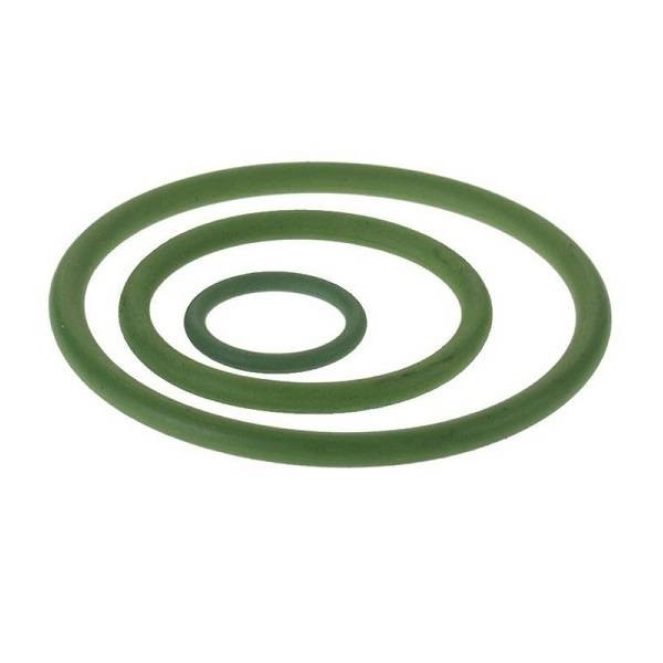 o-ring-lbp-fpm-viton-54-mm-kan-therm-steel