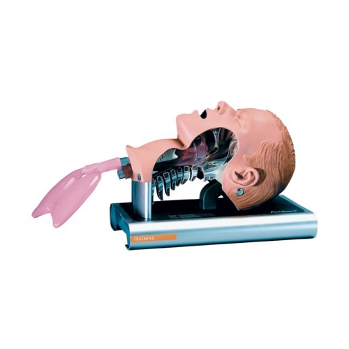 fantom-gowy-do-nauki-intubacji-ambu-airway-managem