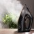 Żelazko parowe Łucznik SI-920 2200 W #1