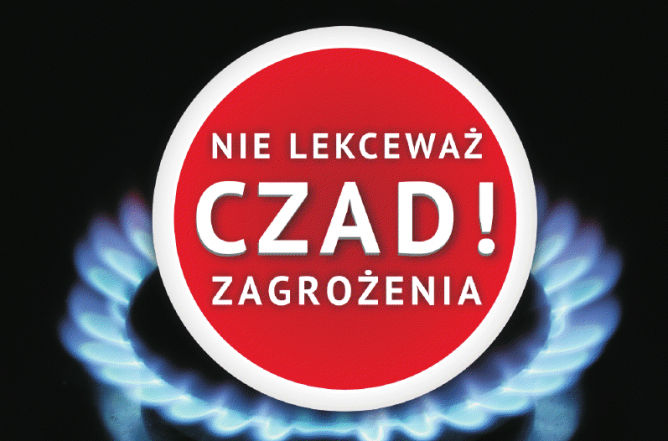 Detektor czujnik tlenku węgla (czadu) do garażu podziemnego Gazex WG-22.EG/A 12V