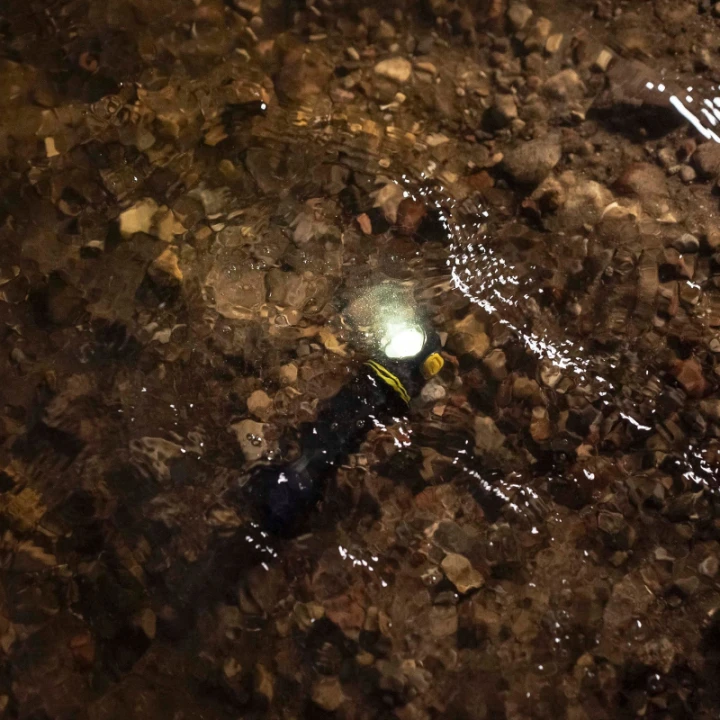 Latarka Armytek Elf C2 Max