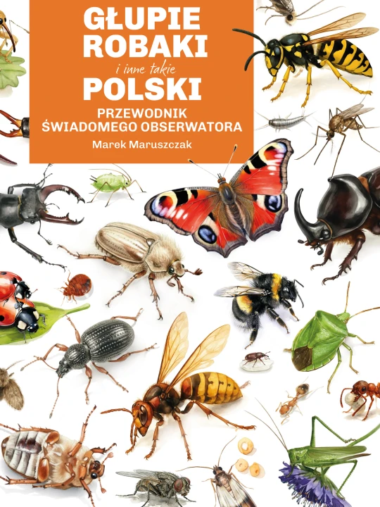 Głupie robaki i inne takie. Polski przewodnik świadomego obserwatora