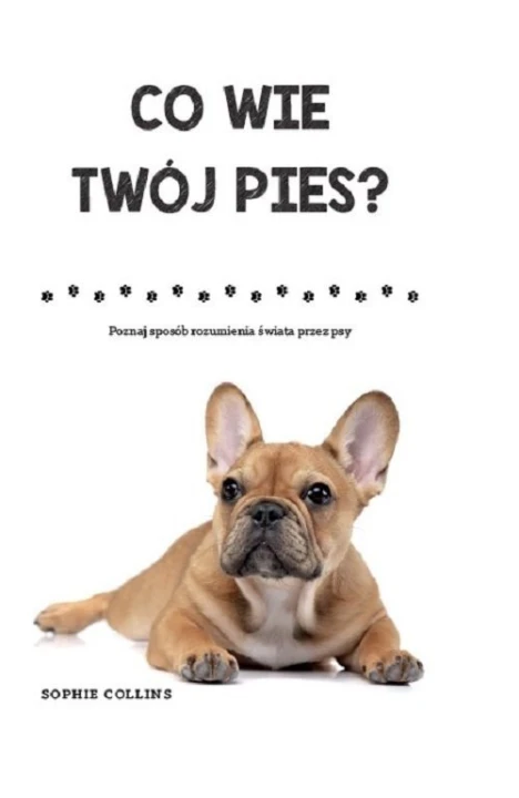 Co wie Twój pies? Poznaj sposób rozumienia świata przez psy Sophie Collins