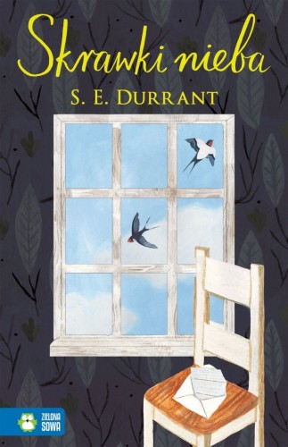 Skrawki nieba S.E. Durrant