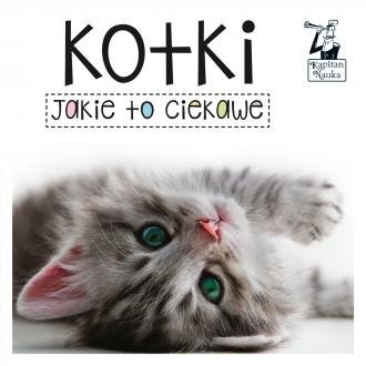 Kotki Jakie to ciekawe