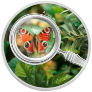 500 franków CFA, Aglais io, Seria: Motyl, Srebrna moneta, rewers