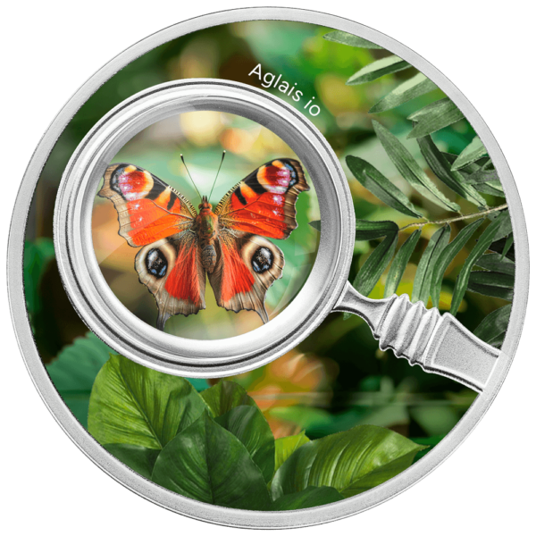 500 franków CFA, Aglais io, Seria: Motyl, Srebrna moneta, rewers