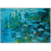 1000 franków CFA, Lilie wodne - Claude Monet, Srebrna moneta
