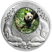 500 franków CFA, Panda wielka, Seria: Ocalić świat, Srebrna moneta