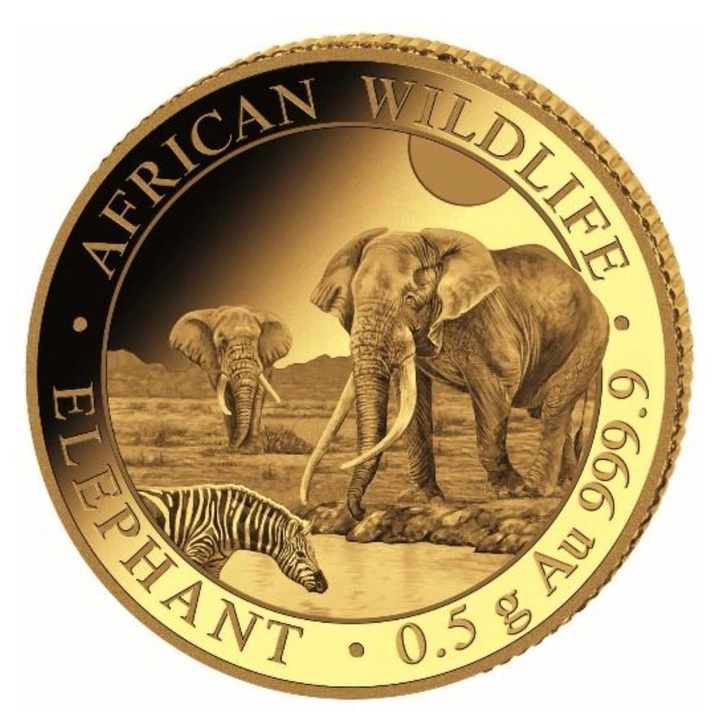 0,5 g, Słoń, Seria: African Wildlife, Złota moneta 2026