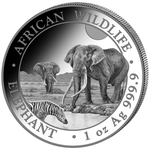 1 uncja, Słoń, Seria: African Wildlife, Srebrna moneta 2026