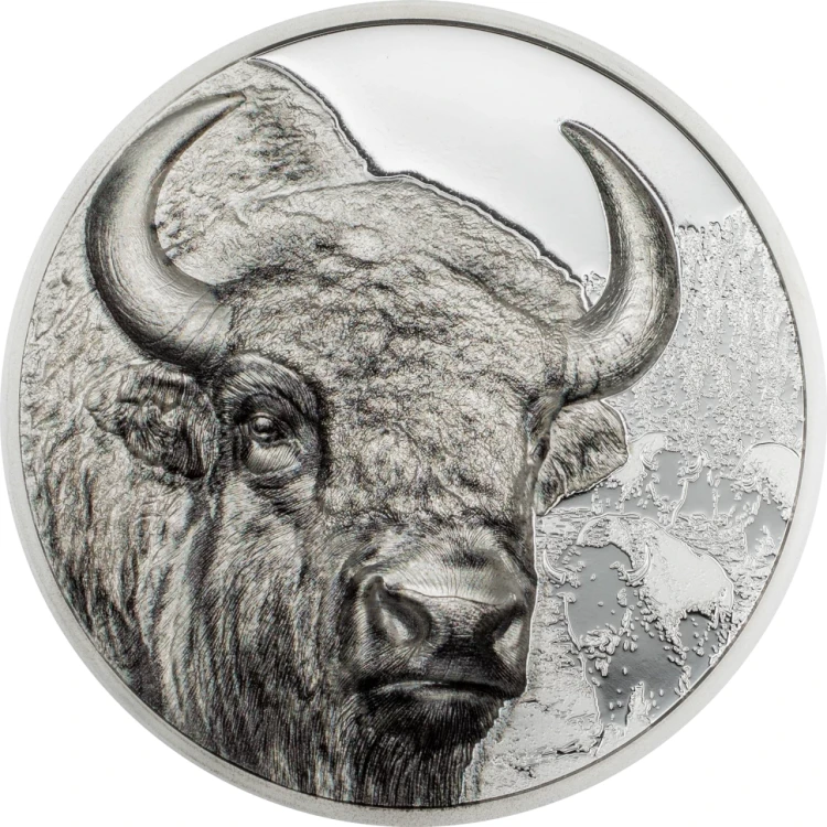 500 Togrog, Bizon - Dzika Mongolia, Srebrna moneta