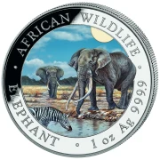 1 uncja, Słoń, Seria: African Wildlife, Srebrna moneta kolorowana 2026