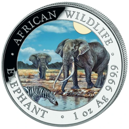 1 uncja, Słoń, Seria: African Wildlife, Srebrna moneta kolorowana 2026