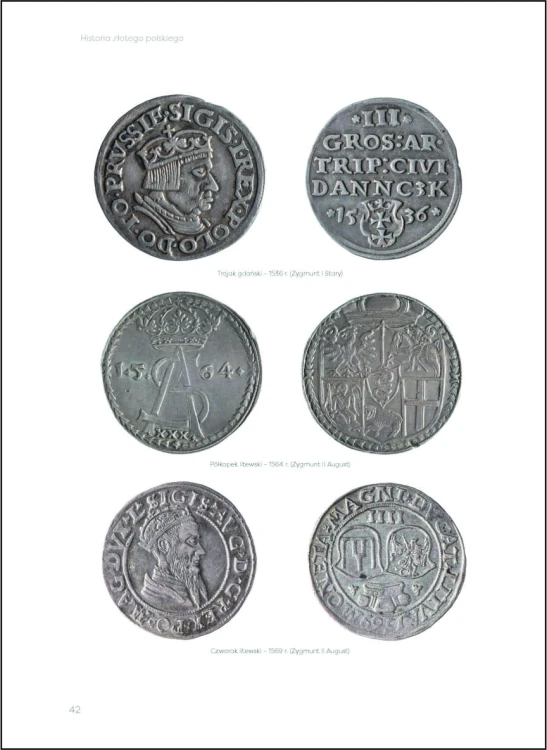 Historia Złotego Polskiego, Marek Regner