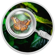 500 franków CFA, Junonia almana, Seria: Motyle, Srebrna moneta 500 franków CFA, Junonia almana, Seria: Motyle, Srebrna moneta