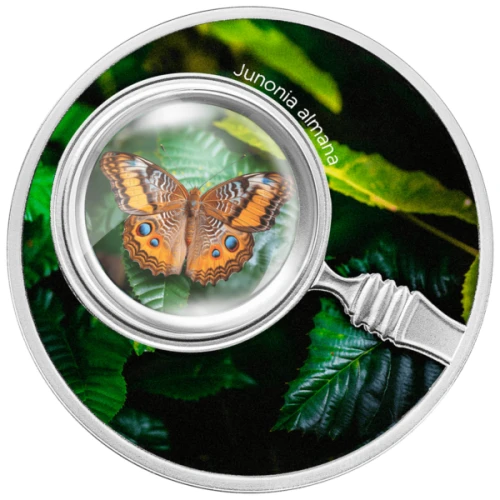 500 franków CFA, Junonia almana, Seria: Motyle, Srebrna moneta 500 franków CFA, Junonia almana, Seria: Motyle, Srebrna moneta