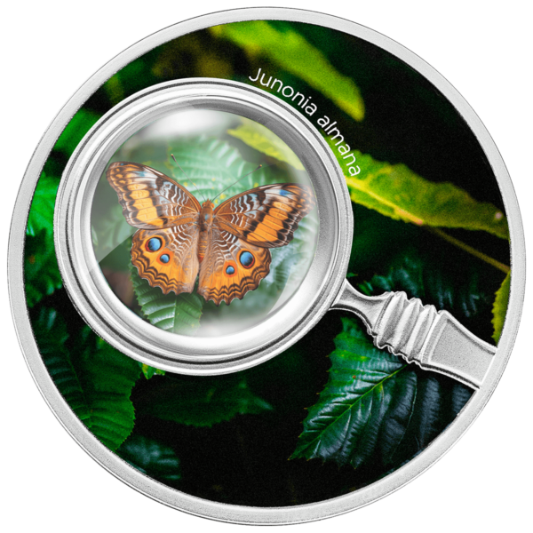 500 franków CFA, Junonia almana, Seria: Motyle, Srebrna moneta 500 franków CFA, Junonia almana, Seria: Motyle, Srebrna moneta