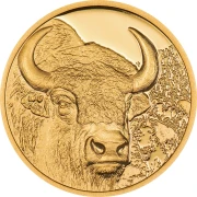 1/10 uncji, Bizon - Dzika Mongolia, Złota moneta, AWERS