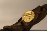 1/10 uncji, Bizon - Dzika Mongolia, Złota moneta
