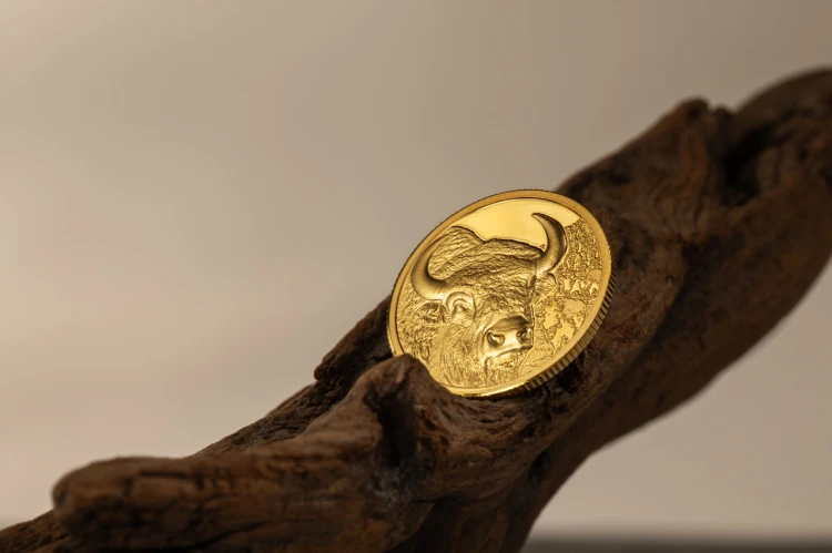 1/10 uncji, Bizon - Dzika Mongolia, Złota moneta