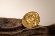 1/10 uncji, Bizon - Dzika Mongolia, Złota moneta