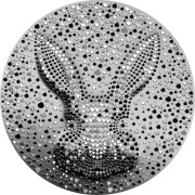 Srebrna moneta 5$ The Black Water Rabbit rewers