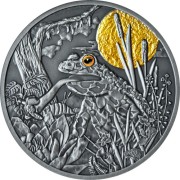Srebrna moneta 500 CFA Żaba, Seria: Nocni łowcy rewers