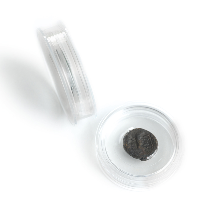 Kapsle Leuchtturm Magic Capsules