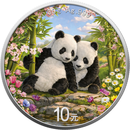 30 g, Chińska Panda Wiosna, Seria: Cztery pory roku, Srebrna moneta