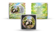 30 g, Chińska Panda Wiosna, Seria: Cztery pory roku, Srebrna moneta