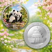 30 g, Chińska Panda Wiosna, Seria: Cztery pory roku, Srebrna moneta