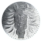 5 $, Rok Konia 2026, Srebrna moneta