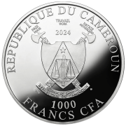 1000 franków CFA, Wróżka zębuszka, Srebrna moneta