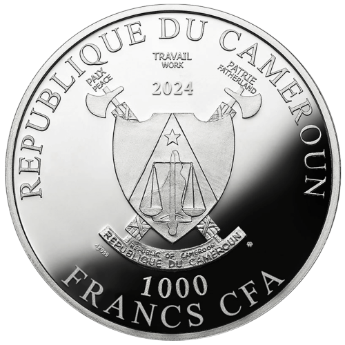 1000 franków CFA, Wróżka zębuszka, Srebrna moneta