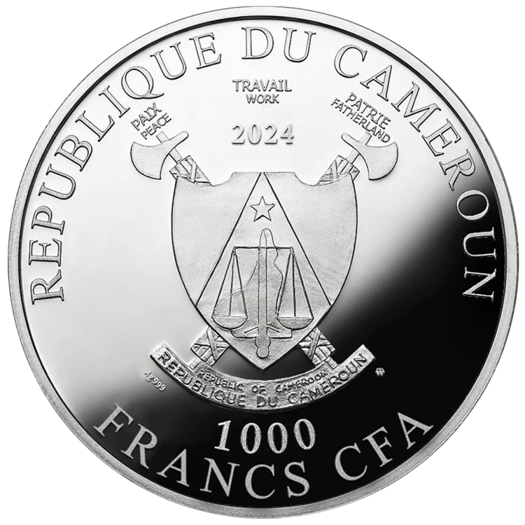 1000 franków CFA, Wróżka zębuszka, Srebrna moneta