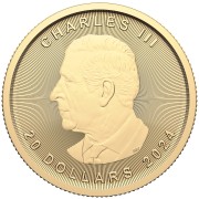 Złota moneta 1/2 uncji Kanadyjski Liść Klonowy 2025 awers