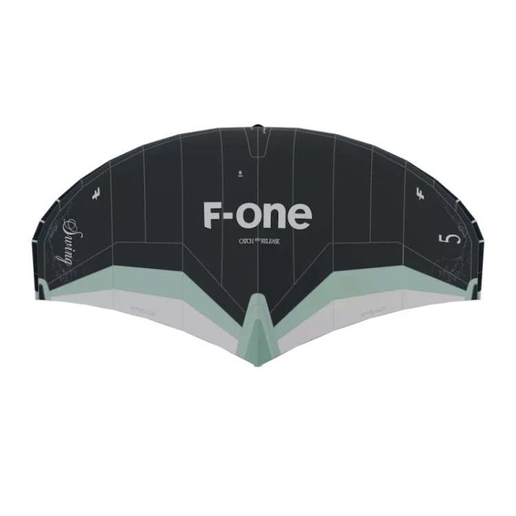 Wing Foil F-One Swing V5