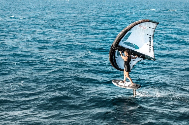 Core Halo Wing
